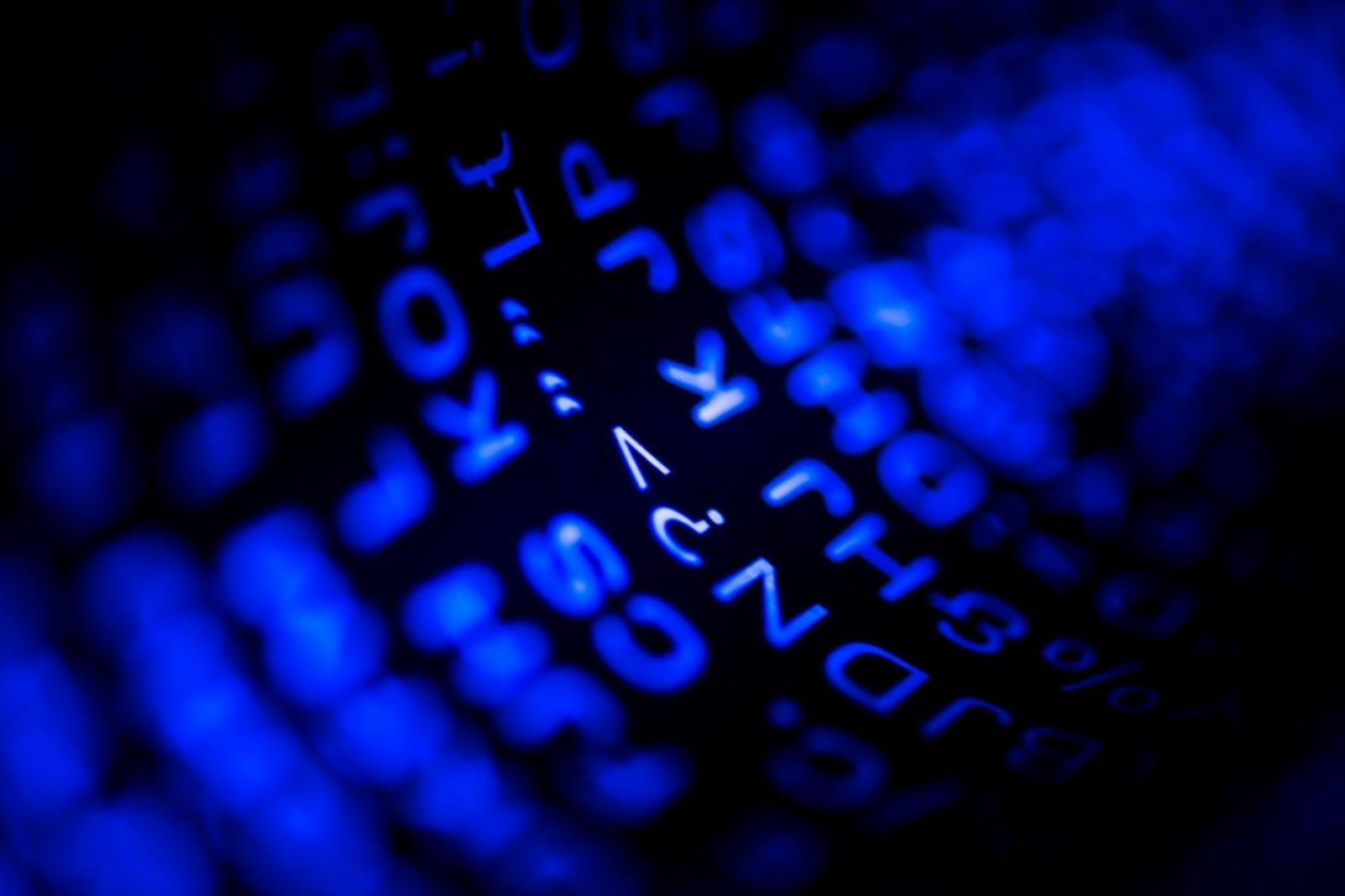 Conference attendees analyzing blockchain data visualizations on large displays